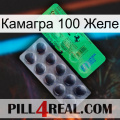 Камагра 100 Желе new04